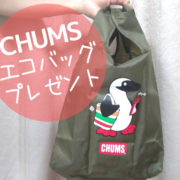 セブンイレブンでCHUMSのエコバッグがもらえるキャンペーン
