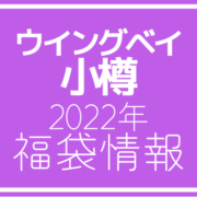 【2022年福袋情報】ウイングベイ小樽で福袋販売を行う店舗を紹介