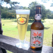 宮城のクラフトビール「鳴子温泉ブルワリー 鳴子の風ゆきむすび」を紹介！まるで和風シャンパンのような飲み口